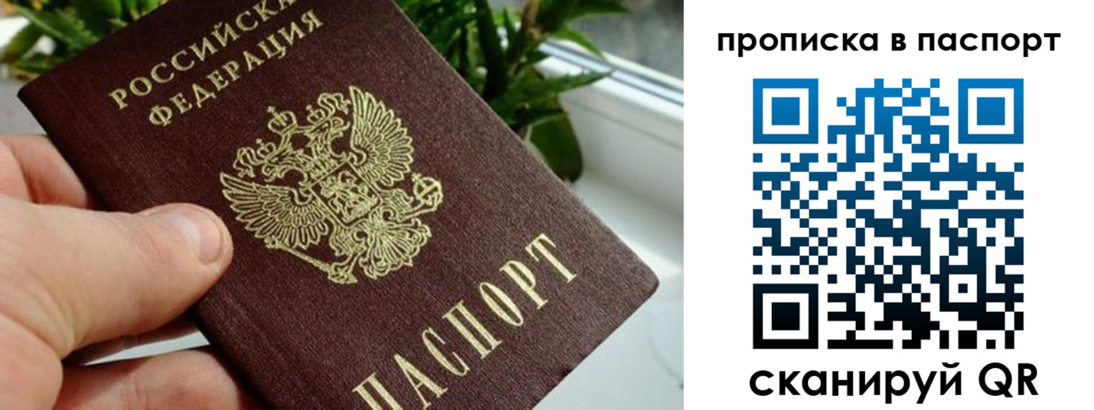пропишу в квартире в Дигоре
